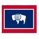 Wyoming Governor Election Winner