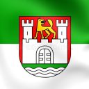Wolfsburg Mayoral Election Winner
