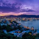Highest temperature in Wellington on August 1?